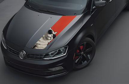 maverick-bonnet-wrap-for-cars