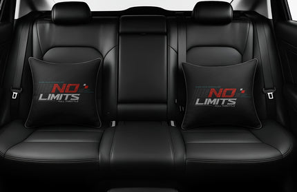 no-limits-cushions-for-cars