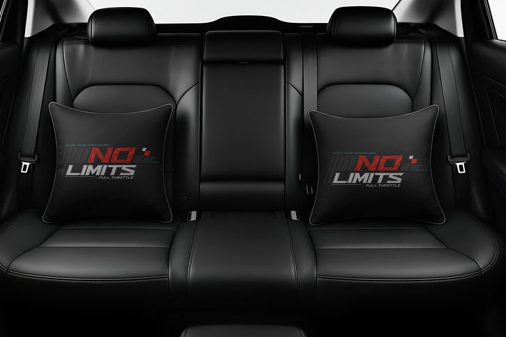 no-limits-cushions-for-cars