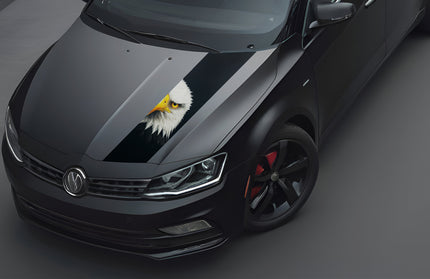 road-raptor-bonnet-wrap-for-cars